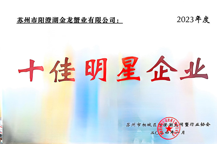 十佳明星企业