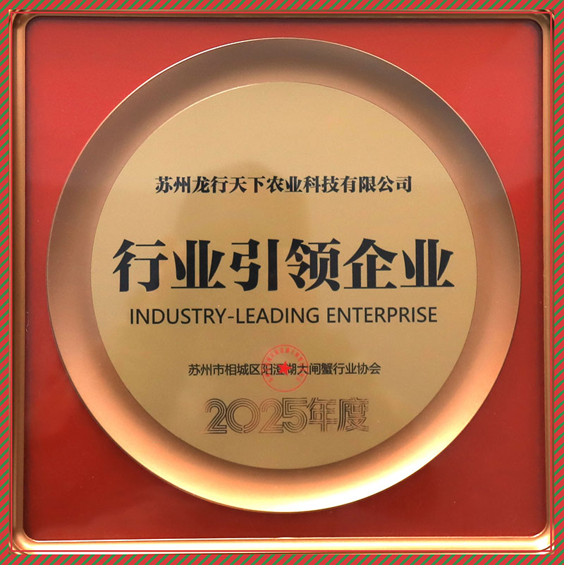 行业引领企业