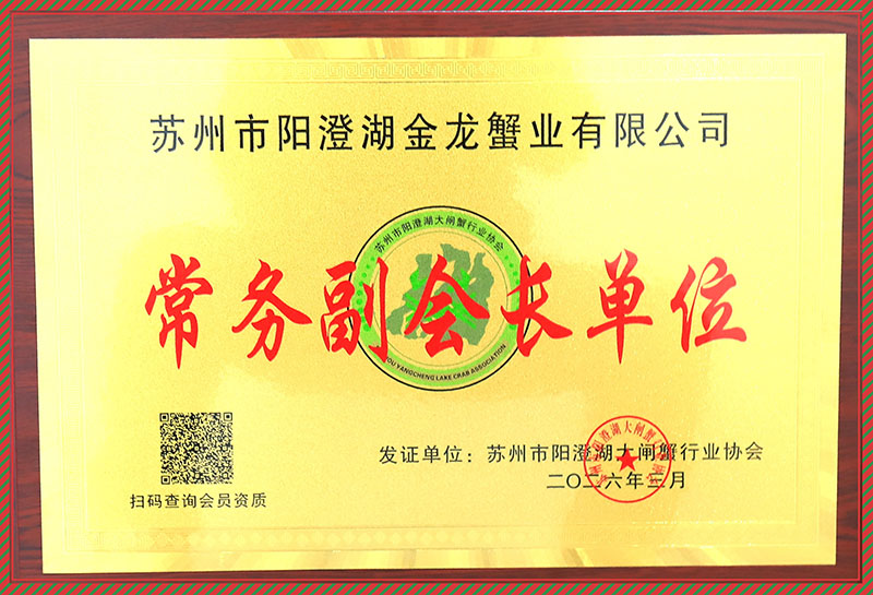 常务副会长单位
